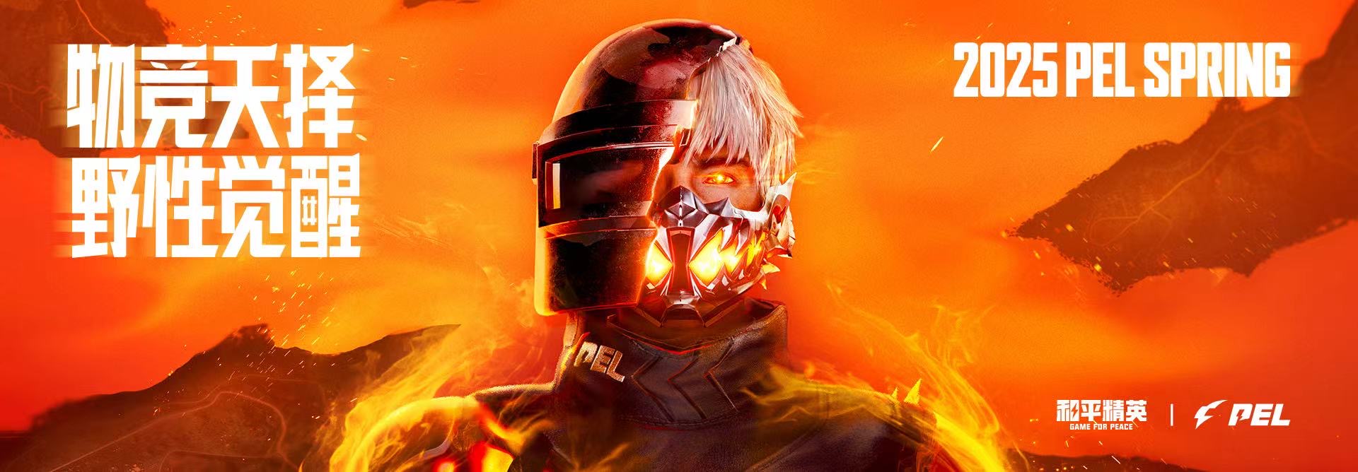 和平精英【正版ADC手搓】内核辅助